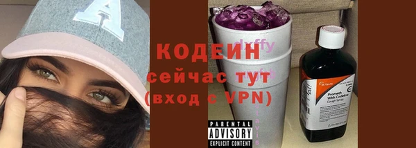 хмурый Нягань