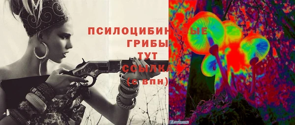 ешки Няндома