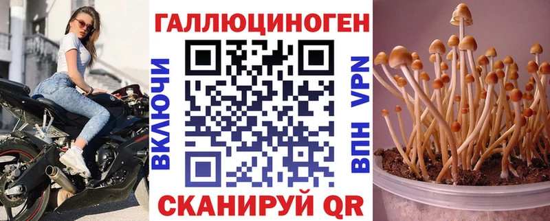 ссылка на мегу онион  Суоярви  Псилоцибиновые грибы Psilocybine cubensis 