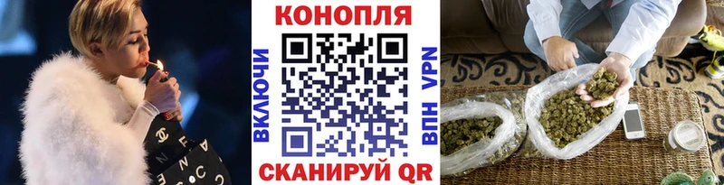 Бошки Шишки THC 21%  дарнет шоп  Суоярви 